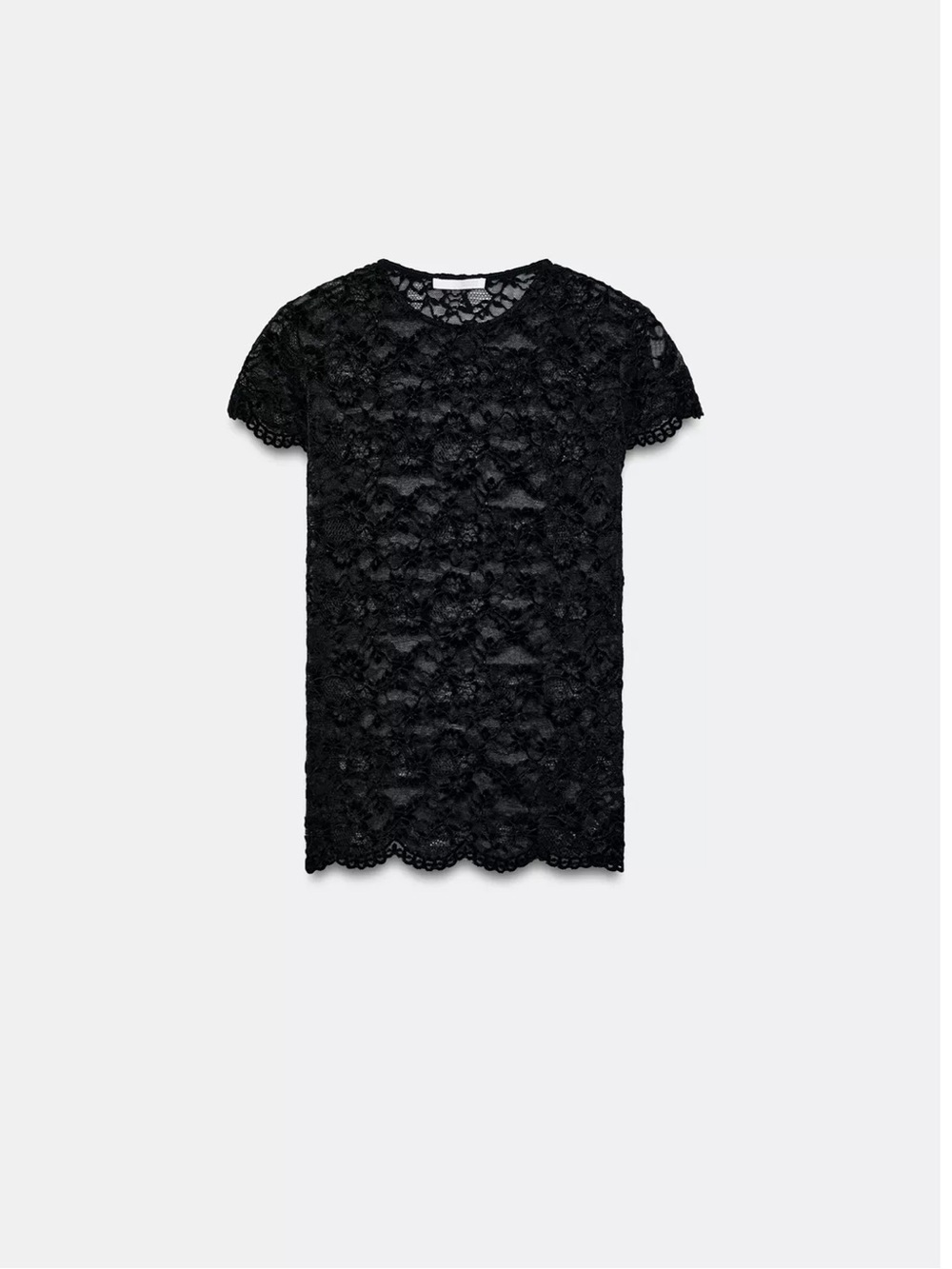 ZARA SHORT SLEEVE LACE T-SHIRT